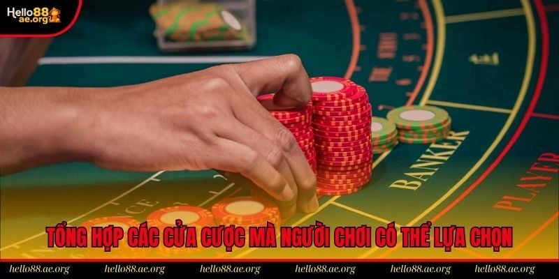 Tổng hợp các cửa cược mà người chơi có thể lựa chọn