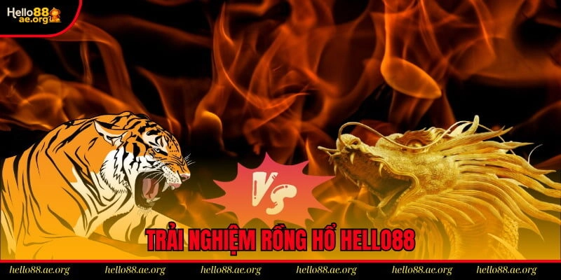 Trải nghiệm rồng hổ hello88 nhận thưởng liền tay