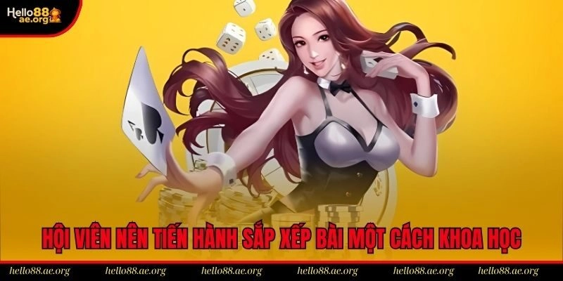 Hội viên nên tiến hành sắp xếp bài một cách khoa học