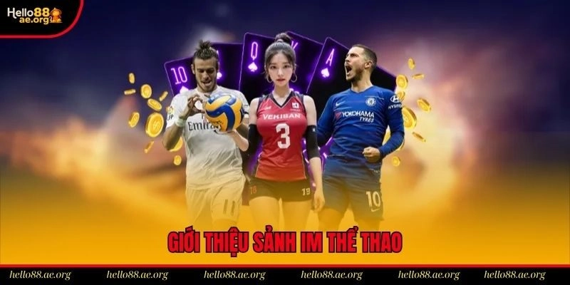Tổng quan về sảnh IM Thể Thao