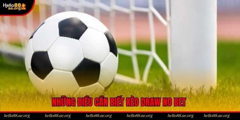 Những điều cần biết về kèo hòa ngoại trừ Hello88