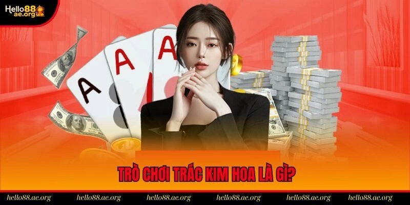 Giải đáp thắc mắc về chủ đề Trác Kim Hoa là gì